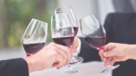 Bei Wine & Dine stoßen mehrere Gäste mit eleganten Gläsern Rotwein an, passend zu Weingut Bercher und Weingut Schwörer im Bohrerhof.